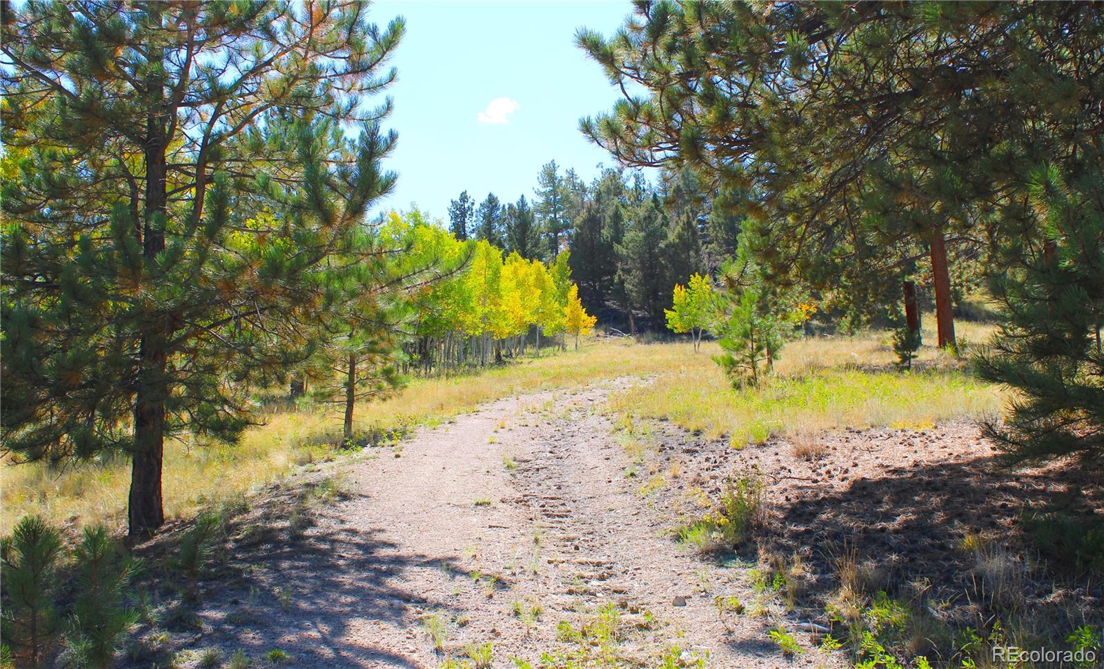 362 Sombrero Road Hartsel, CO 80449 - Photo 2 of 27