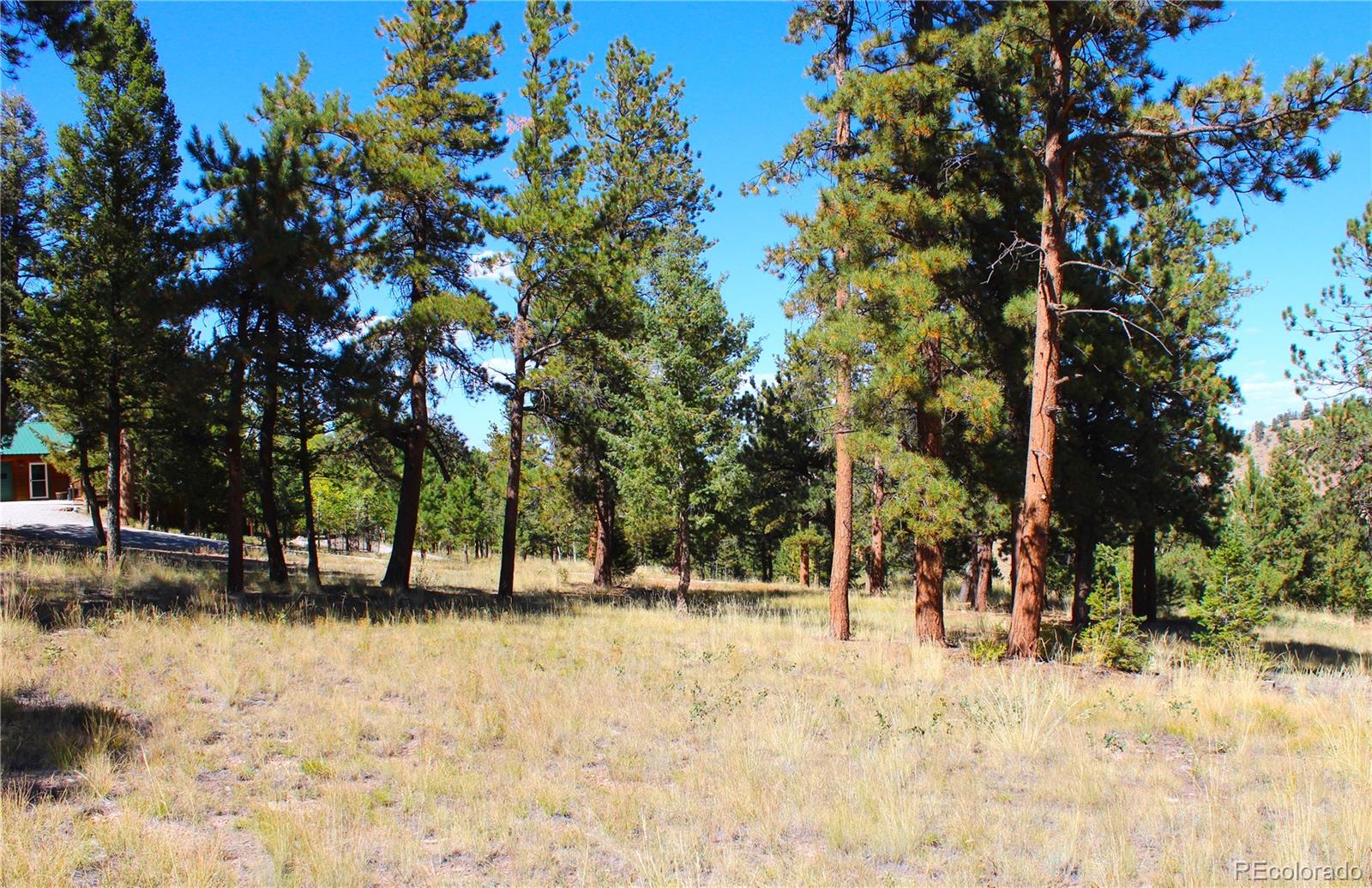 362 Sombrero Road Hartsel, CO 80449 - Photo 21 of 27
