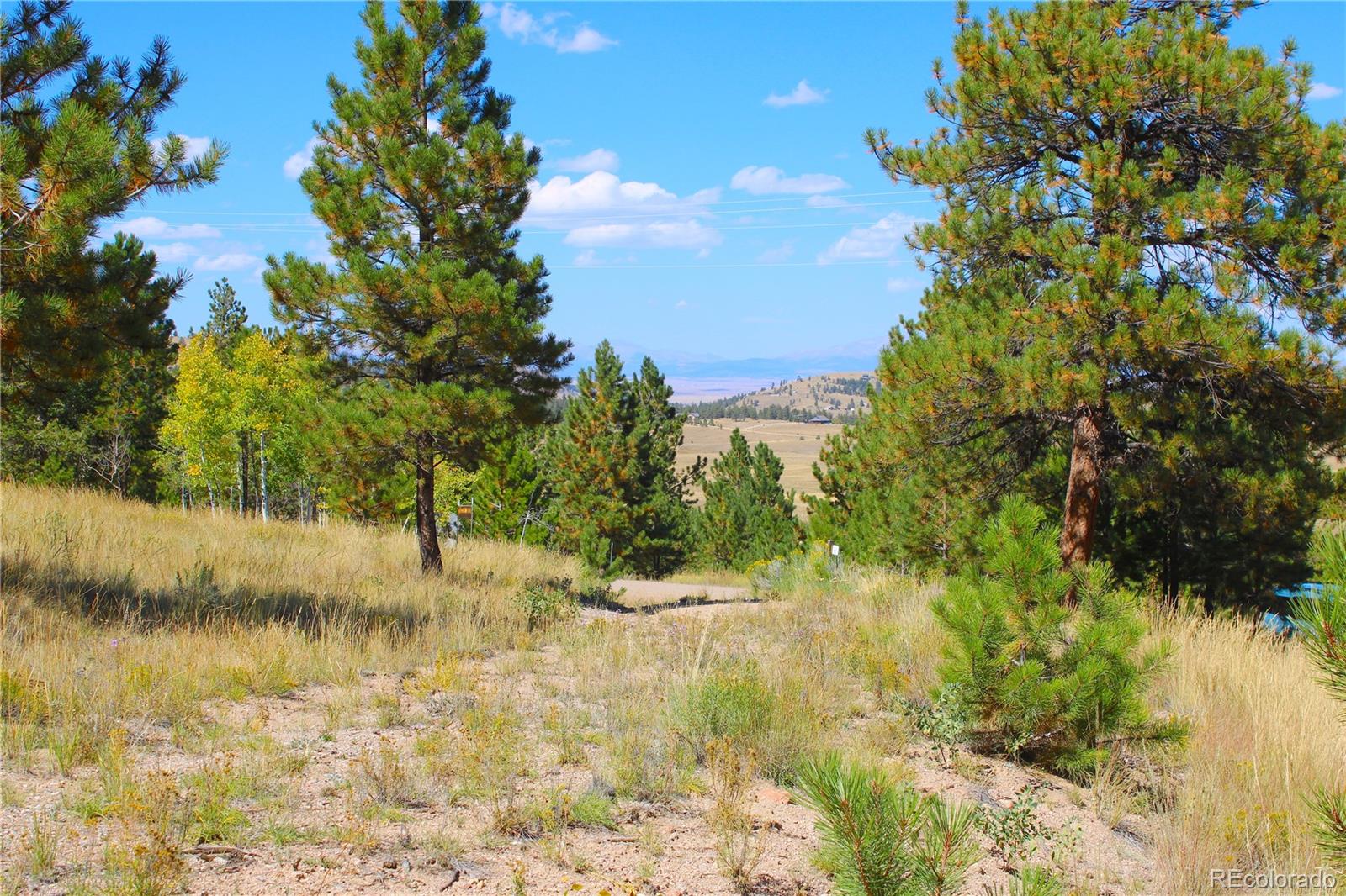 362 Sombrero Road Hartsel, CO 80449 - Photo 4 of 27