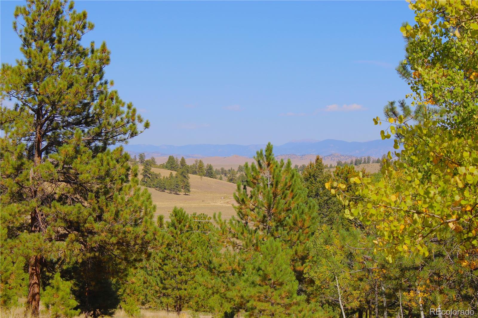 362 Sombrero Road Hartsel, CO 80449 - Photo 5 of 27