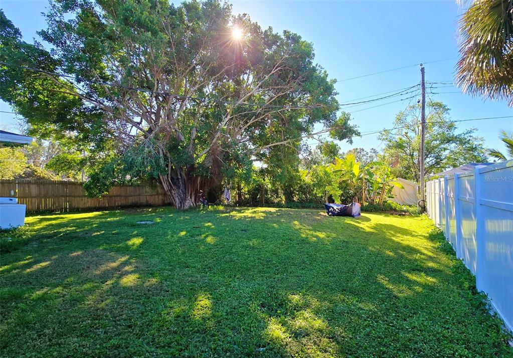 3310 Lexington Street Sarasota, FL 34231 - Photo 14 of 35 a view of a yard with a tree