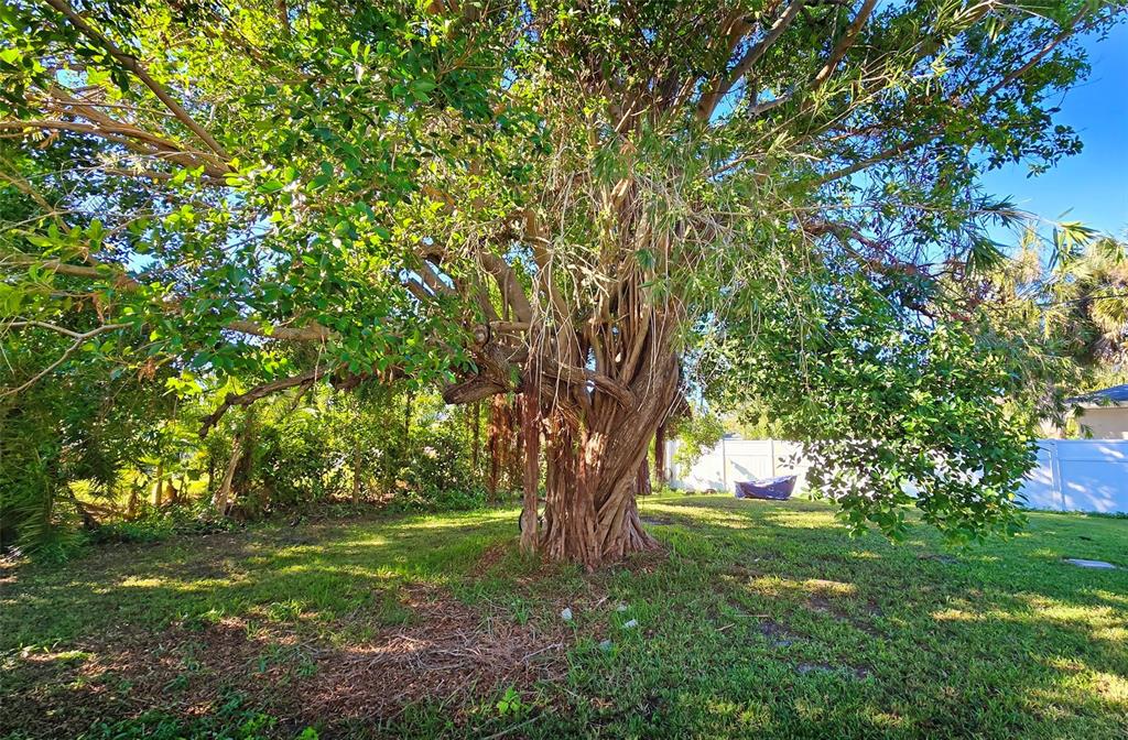 3310 Lexington Street Sarasota, FL 34231 - Photo 16 of 35 a view of outdoor space and yard