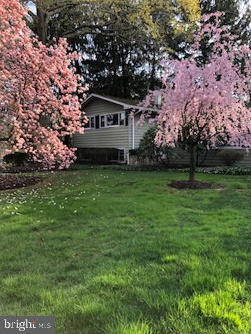 4428 Province Line Road Princeton, NJ 08540 - Photo 31 of 43 Lovey trees in front yard in Spring