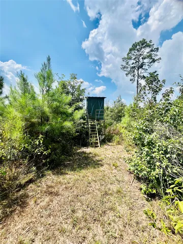 $250,000 | 0 9 Bridge Road, Corrigan, TX 75939