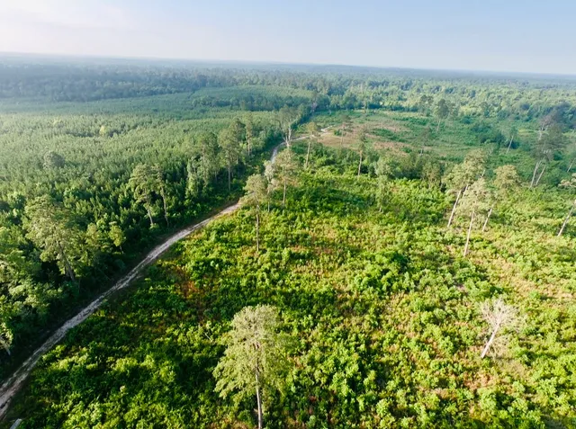 $250,000 | 0 9 Bridge Road, Corrigan, TX 75939