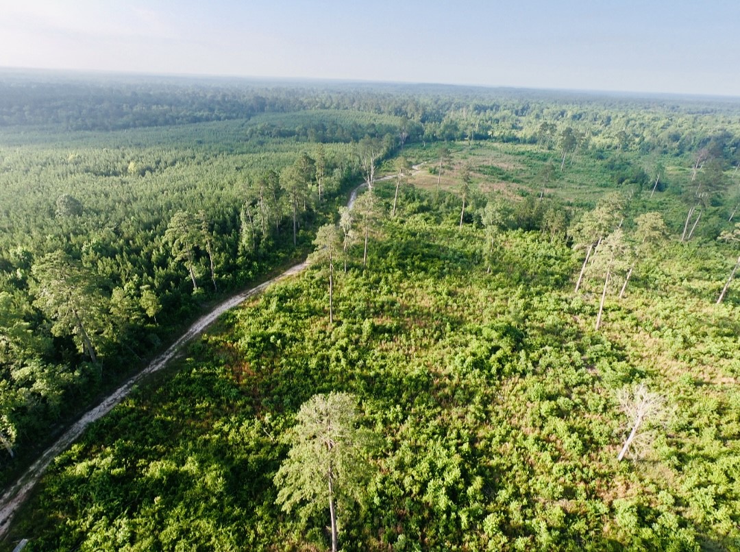 0 9 Bridge Road Corrigan, TX 75939 - Photo 12 of 22 Aerial View