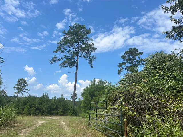 $250,000 | 0 9 Bridge Road, Corrigan, TX 75939