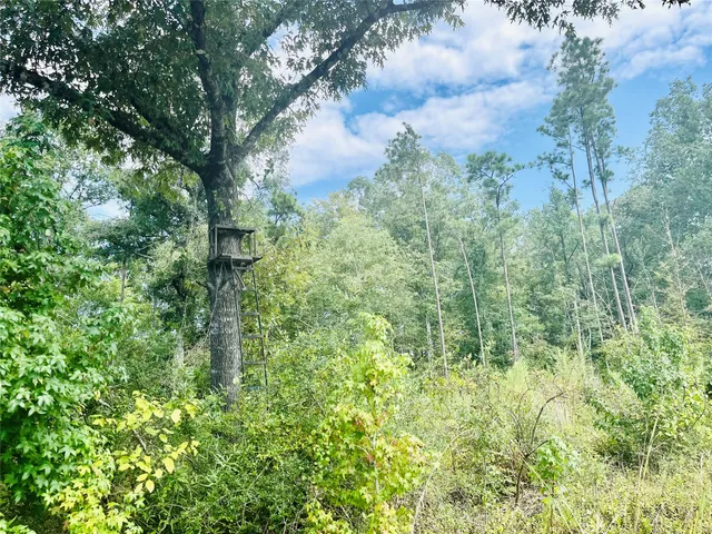 $250,000 | 0 9 Bridge Road, Corrigan, TX 75939