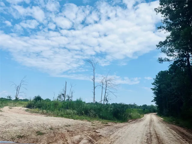 $250,000 | 0 9 Bridge Road, Corrigan, TX 75939