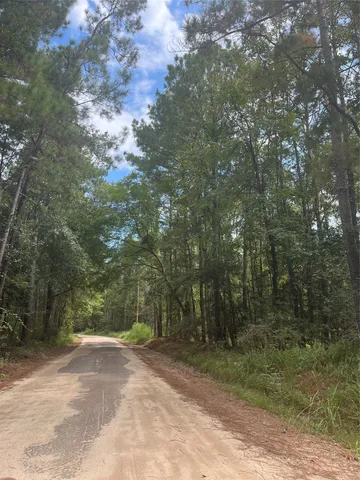 $250,000 | 0 9 Bridge Road, Corrigan, TX 75939