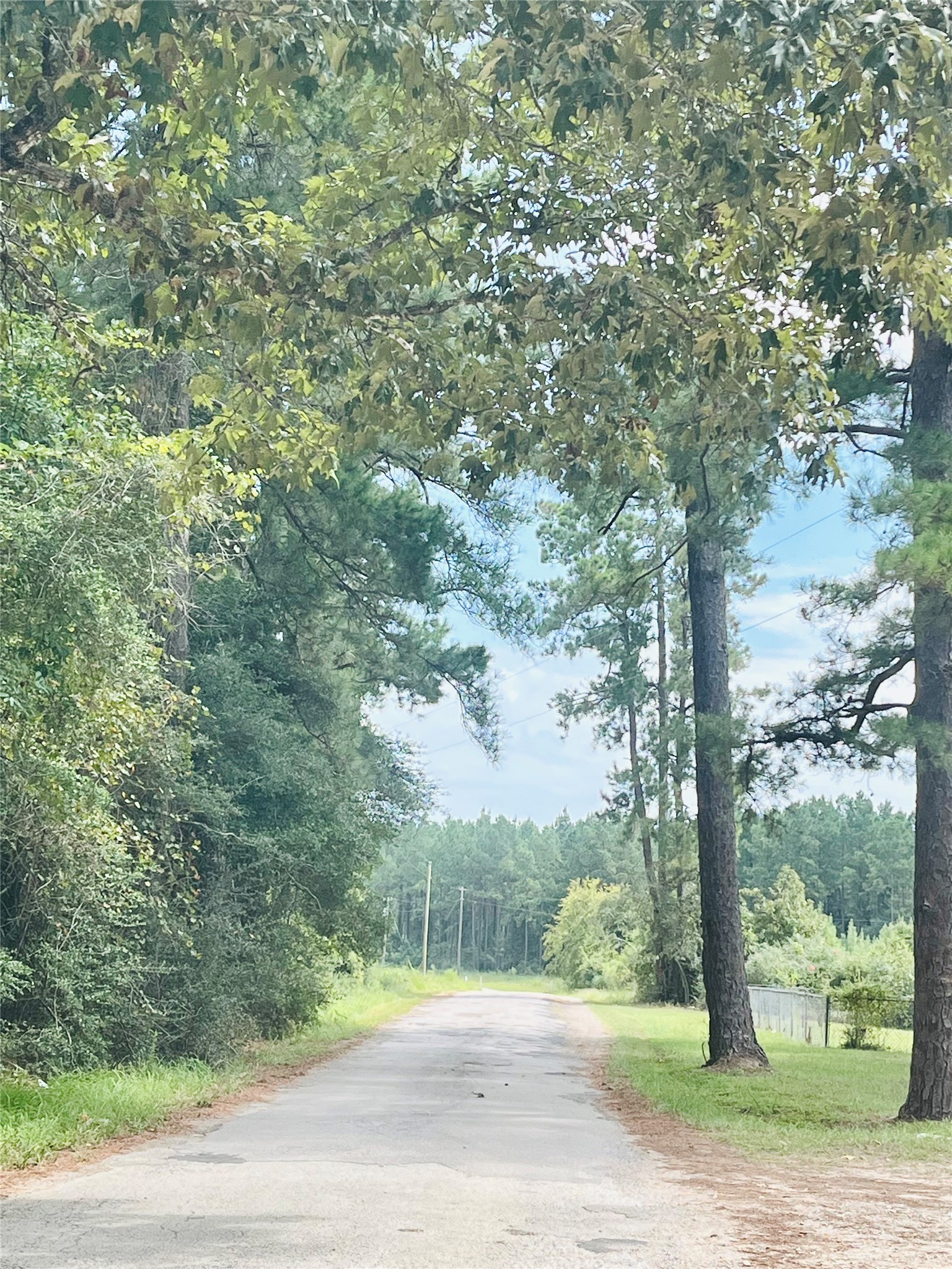 0 9 Bridge Road Corrigan, TX 75939 - Photo 19 of 22 Scenic views