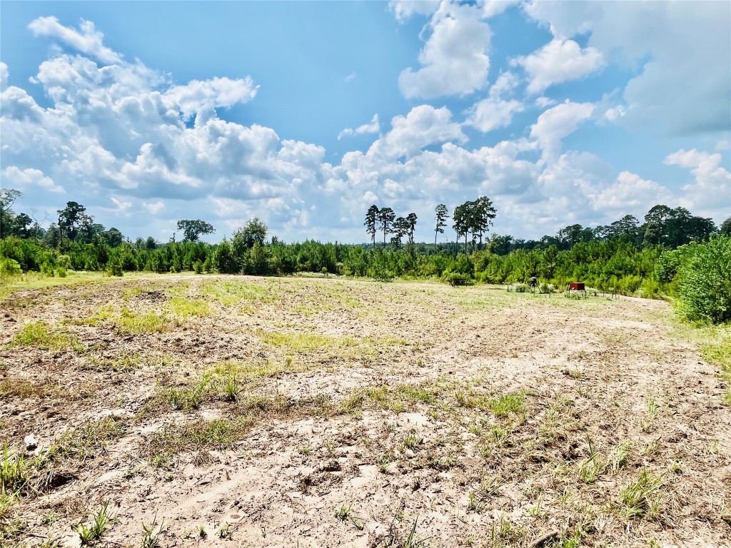 0 9 Bridge Road Corrigan, TX 75939 - Photo 2 of 22