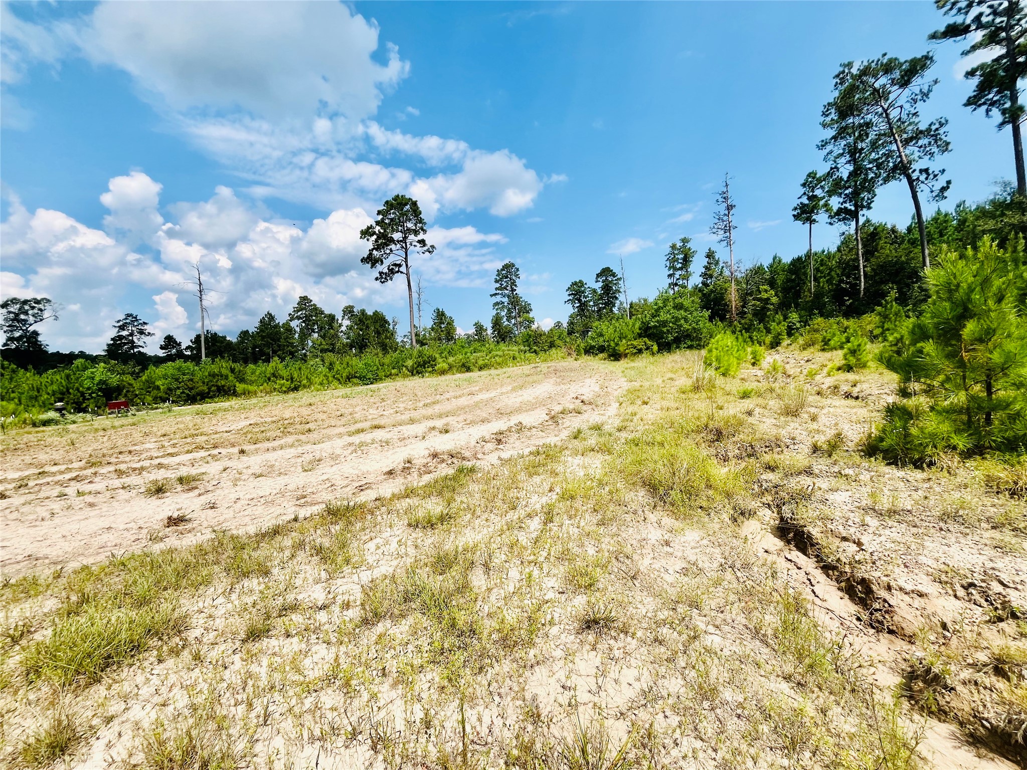 0 9 Bridge Road Corrigan, TX 75939 - Photo 2 of 22