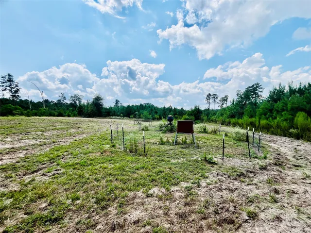 $250,000 | 0 9 Bridge Road, Corrigan, TX 75939