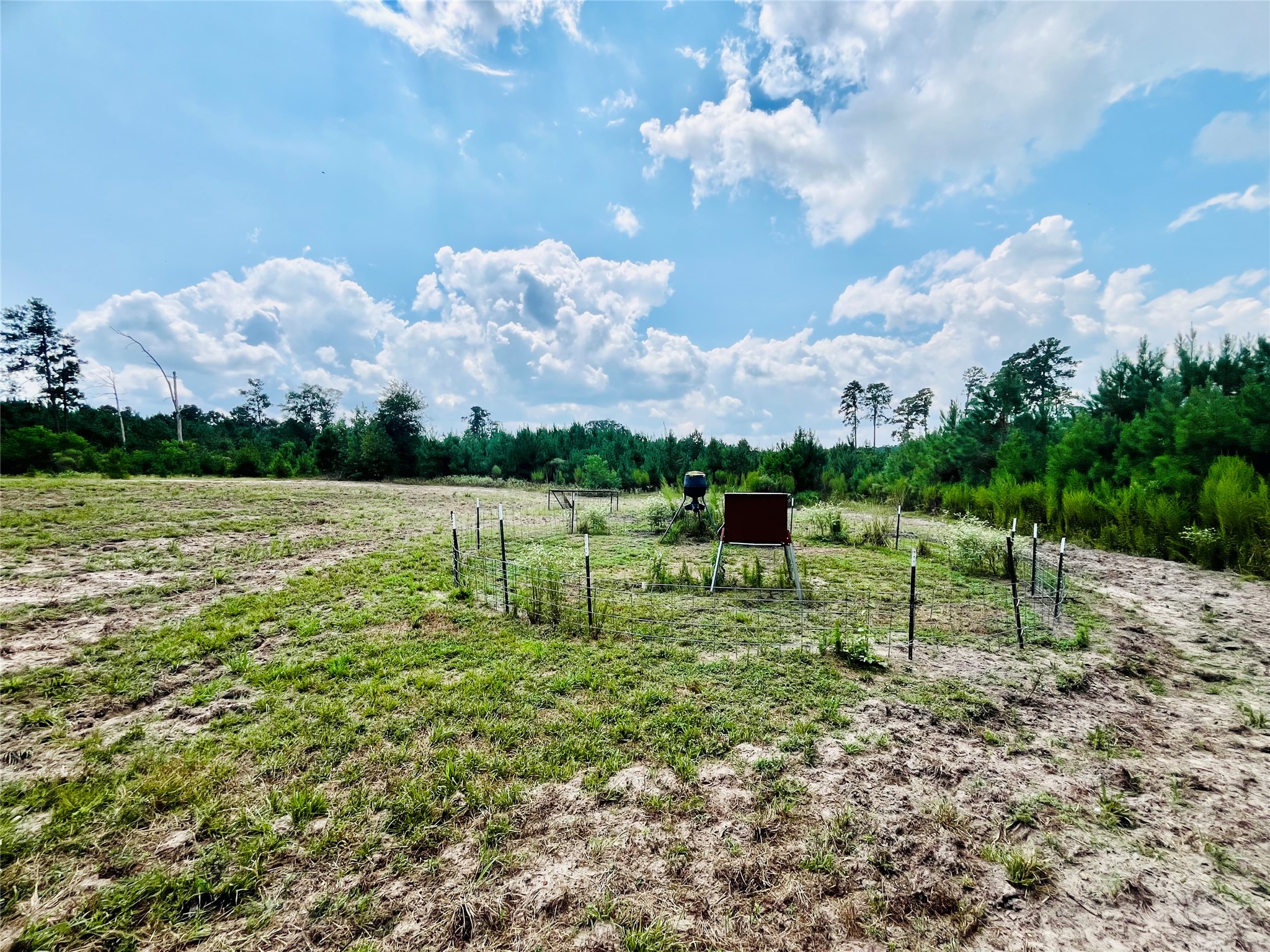 0 9 Bridge Road Corrigan, TX 75939 - Photo 21 of 22