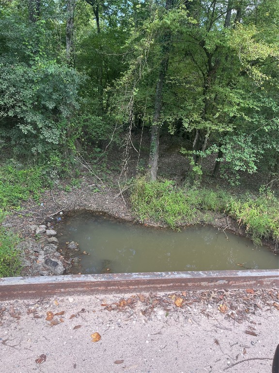 0 9 Bridge Road Corrigan, TX 75939 - Photo 22 of 22 a view of a lake with a forest