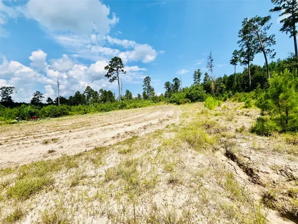 a view of a tree in a field