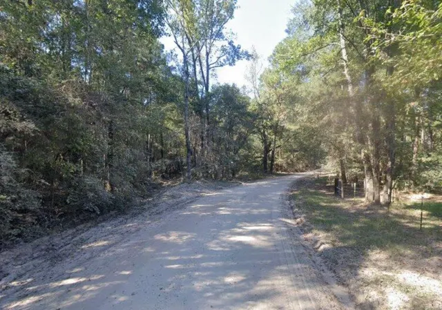 $250,000 | 0 9 Bridge Road, Corrigan, TX 75939