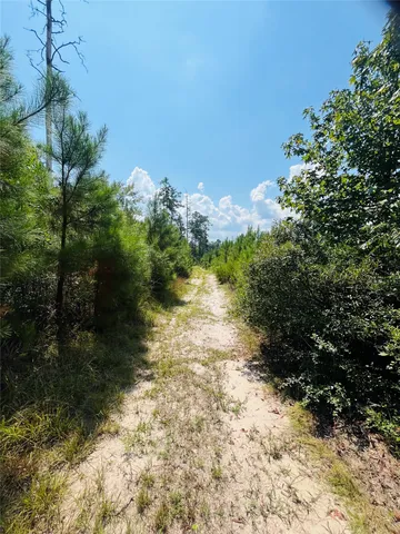 $250,000 | 0 9 Bridge Road, Corrigan, TX 75939