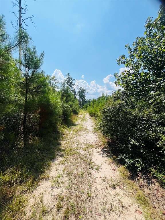 0 9 Bridge Road Corrigan, TX 75939 - Photo 6 of 22 a view of a lake with trees