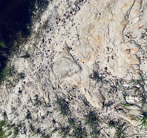 $250,000 | 0 9 Bridge Road, Corrigan, TX 75939