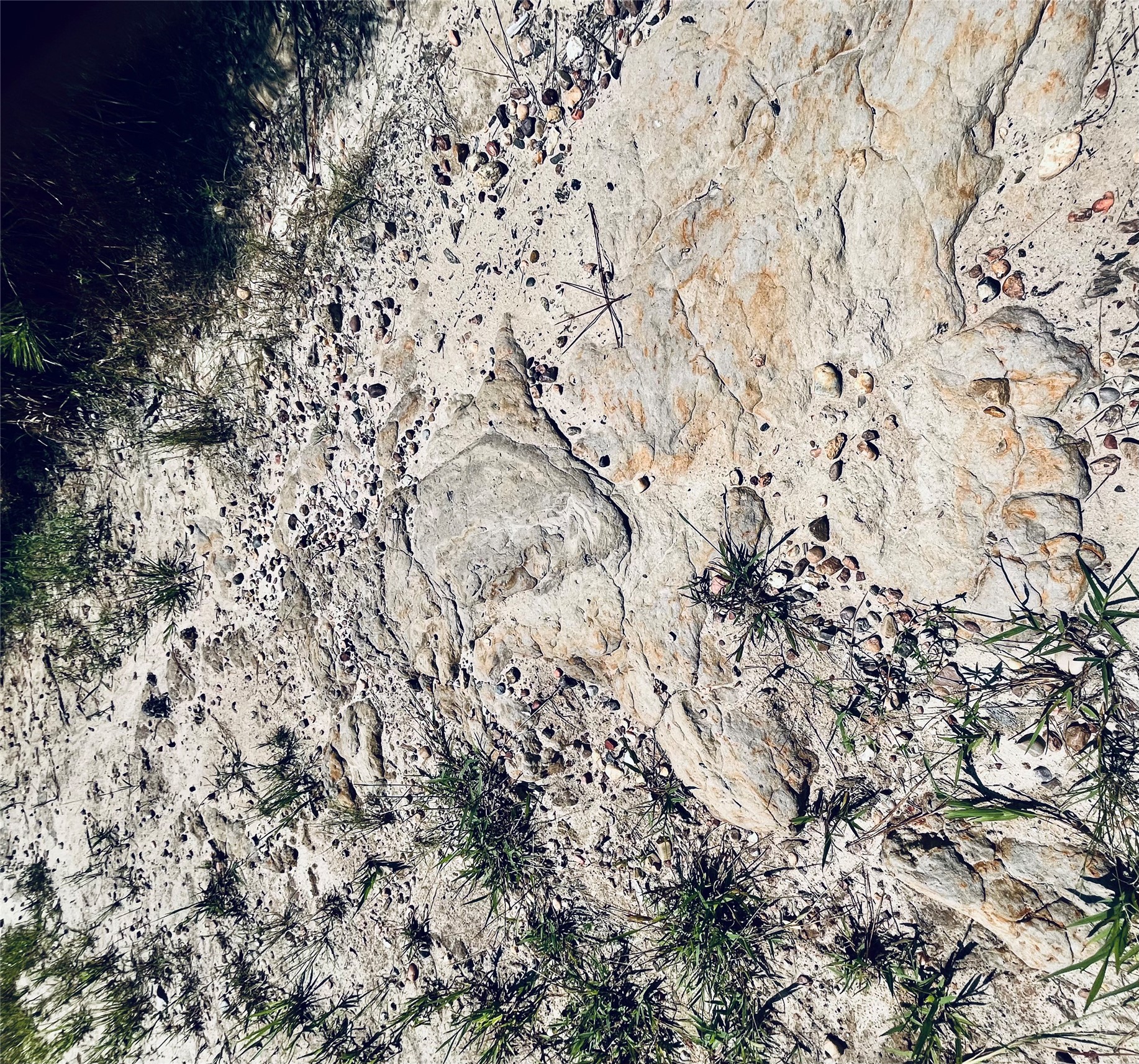 0 9 Bridge Road Corrigan, TX 75939 - Photo 6 of 22 Beautiful stabilized rock & granite features.