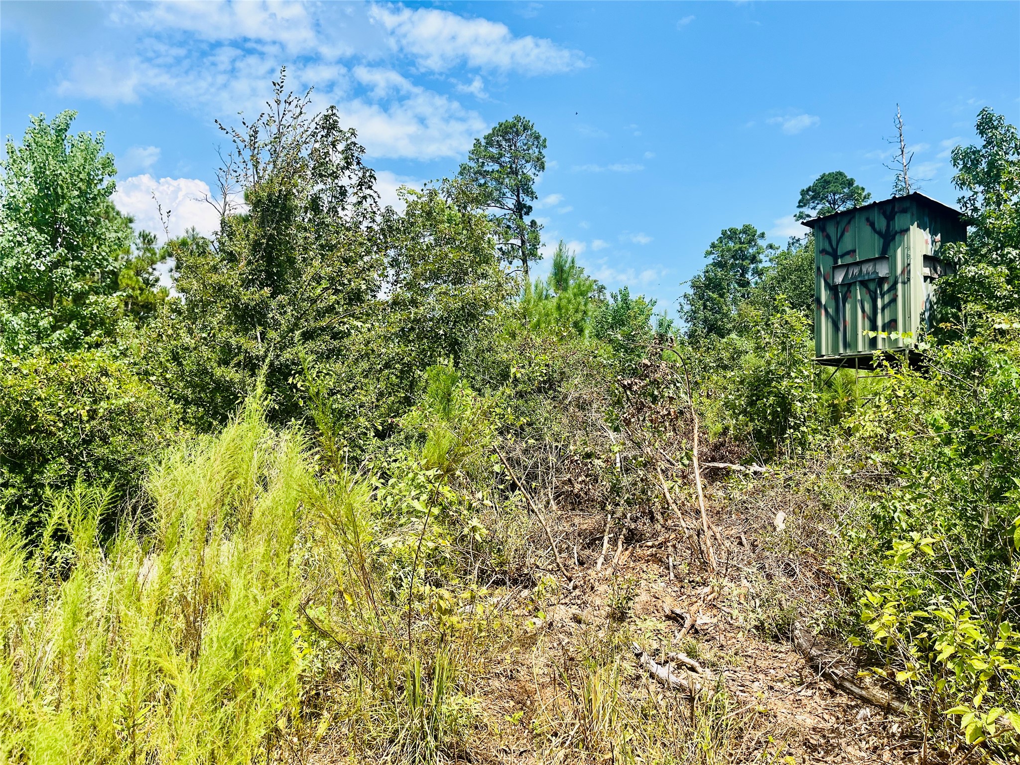 0 9 Bridge Road Corrigan, TX 75939 - Photo 7 of 22 Another view