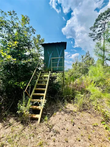 $250,000 | 0 9 Bridge Road, Corrigan, TX 75939