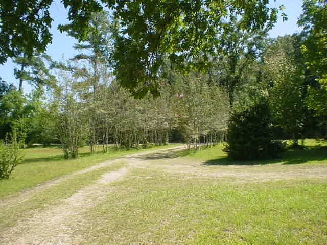 11317 Seibert Road Roseland, LA 70456 - Photo 12 of 14 Gallery Image 12