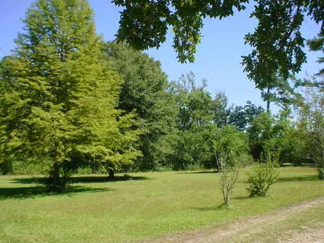 11317 Seibert Road Roseland, LA 70456 - Photo 13 of 14 Gallery Image 13