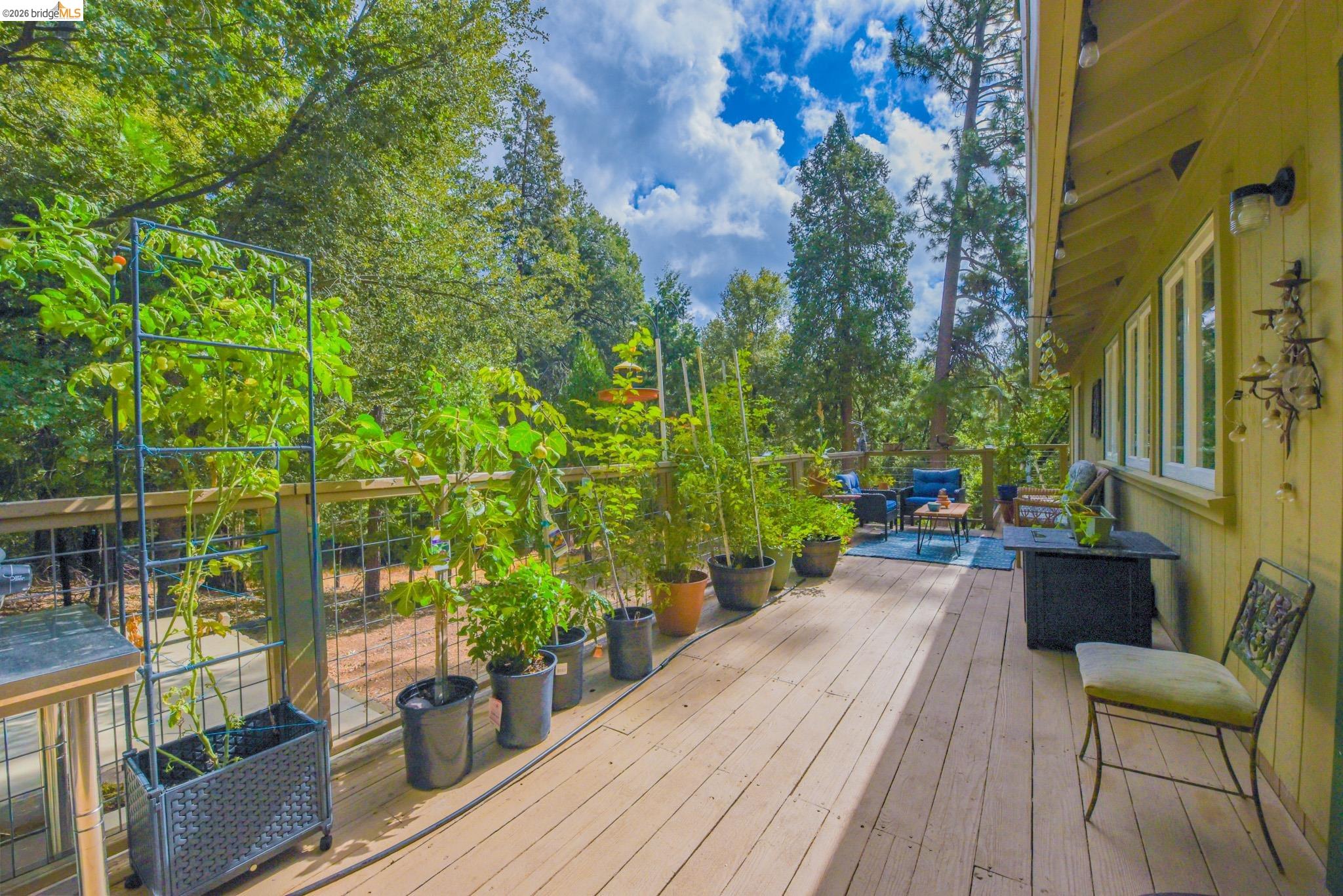 23615 Elizabeth Peak Road Twain Harte, CA 95383 - Photo 25 of 38 Wooden terrace with view of scattered trees