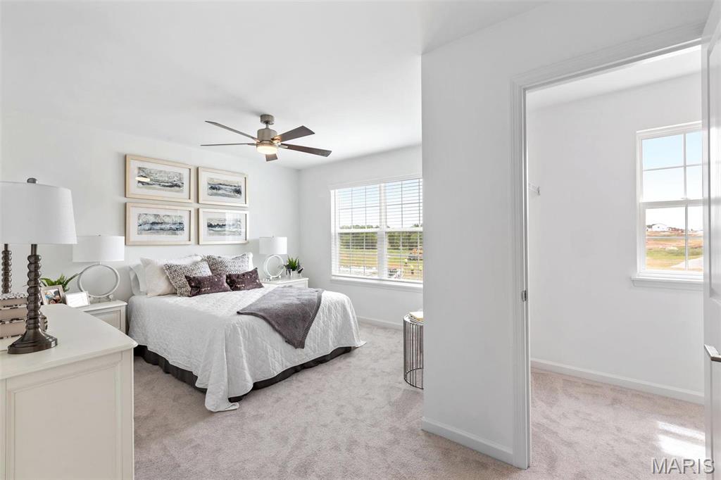 2 Ashford At Boone Ridge Truesdale, MO 63380 - Photo 30 of 35