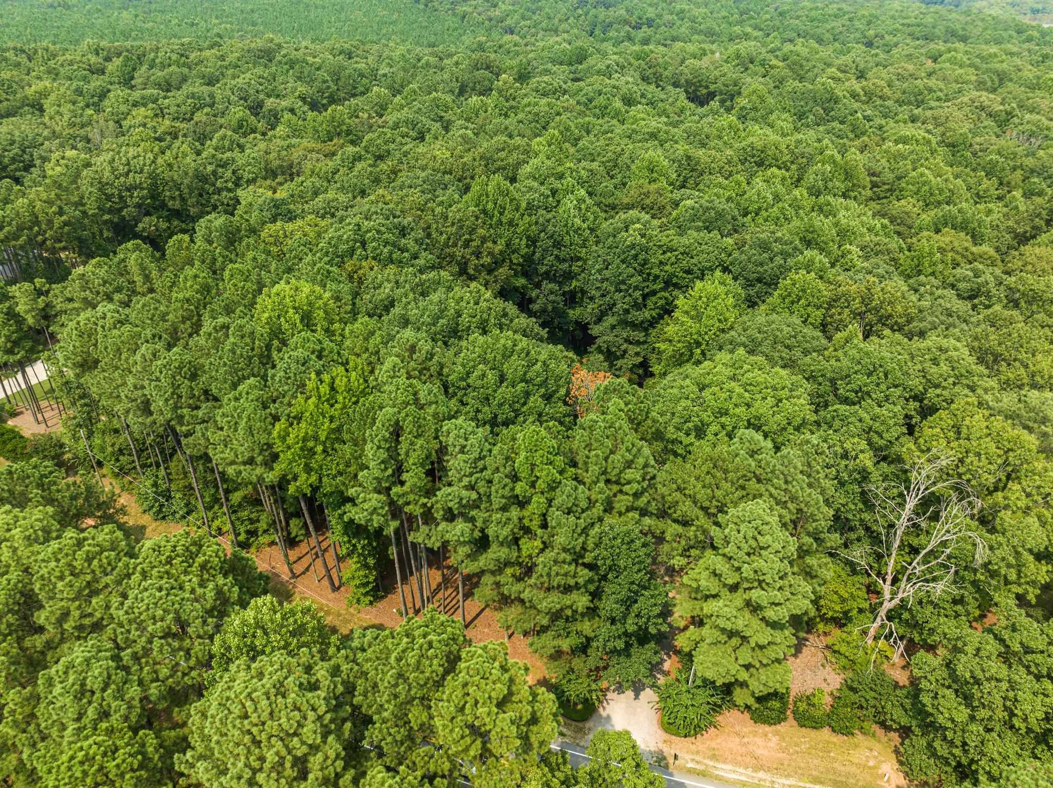 5724 Purnell Road Wake Forest, NC 27587 - Photo 63 of 65 Photo 63