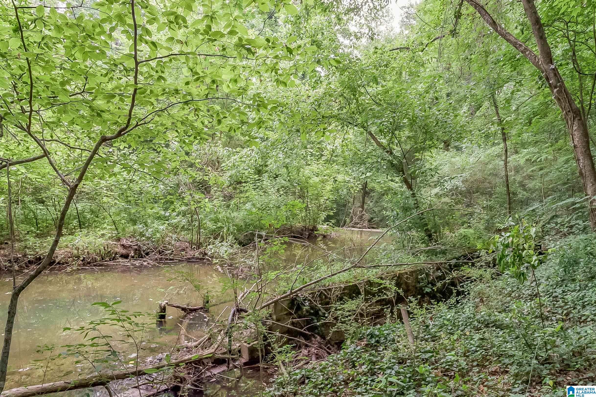 2916 Pump House Road Birmingham, AL 35243 - Photo 46 of 50