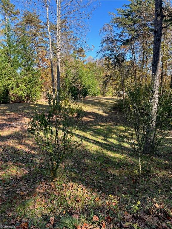 956 North Ridge Road Roaring River, NC 28669 - Photo 5 of 10 Gallery Image 5
