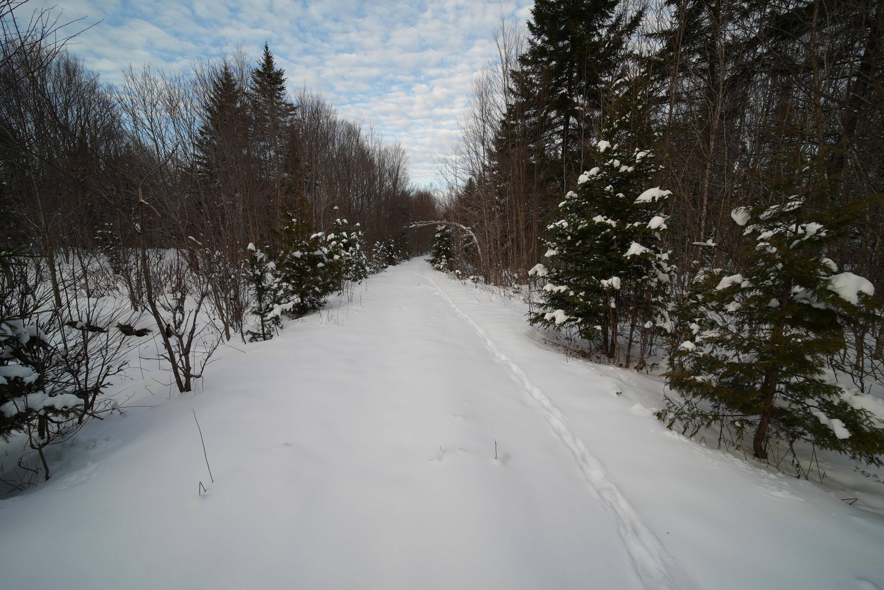 10-a-17-57 Fire Road Linneus, ME 04730 - Photo 10 of 10 DSC01066