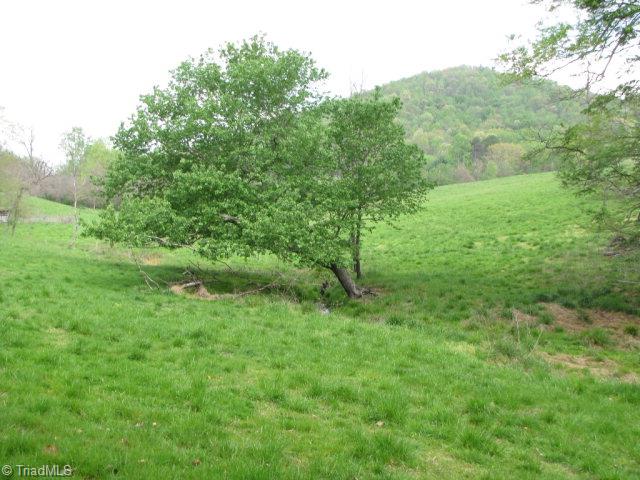 Off Absher Road Traphill, NC 28685 - Photo 14 of 21 Gallery Image 14