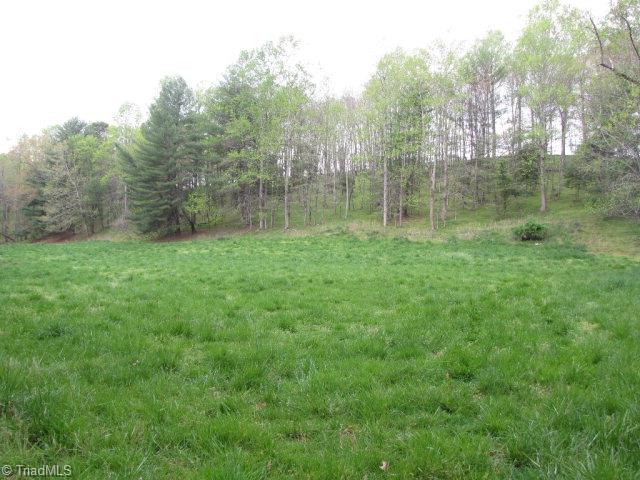 Off Absher Road Traphill, NC 28685 - Photo 3 of 21 Gallery Image 3