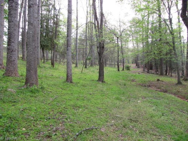 Off Absher Road Traphill, NC 28685 - Photo 8 of 21 Gallery Image 8