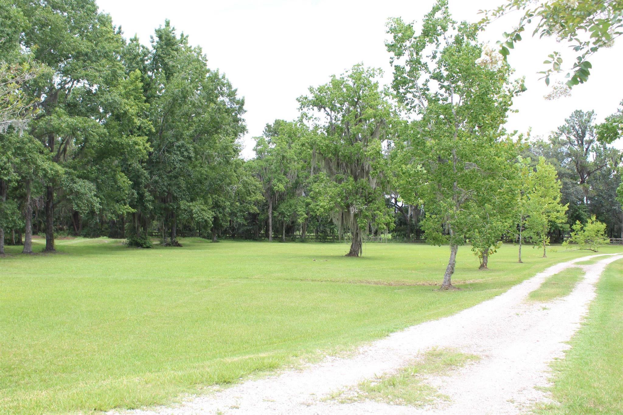 173 Dog Branch Road East Palatka, FL 32131 - Photo 1 of 15 a view of field with trees in the background