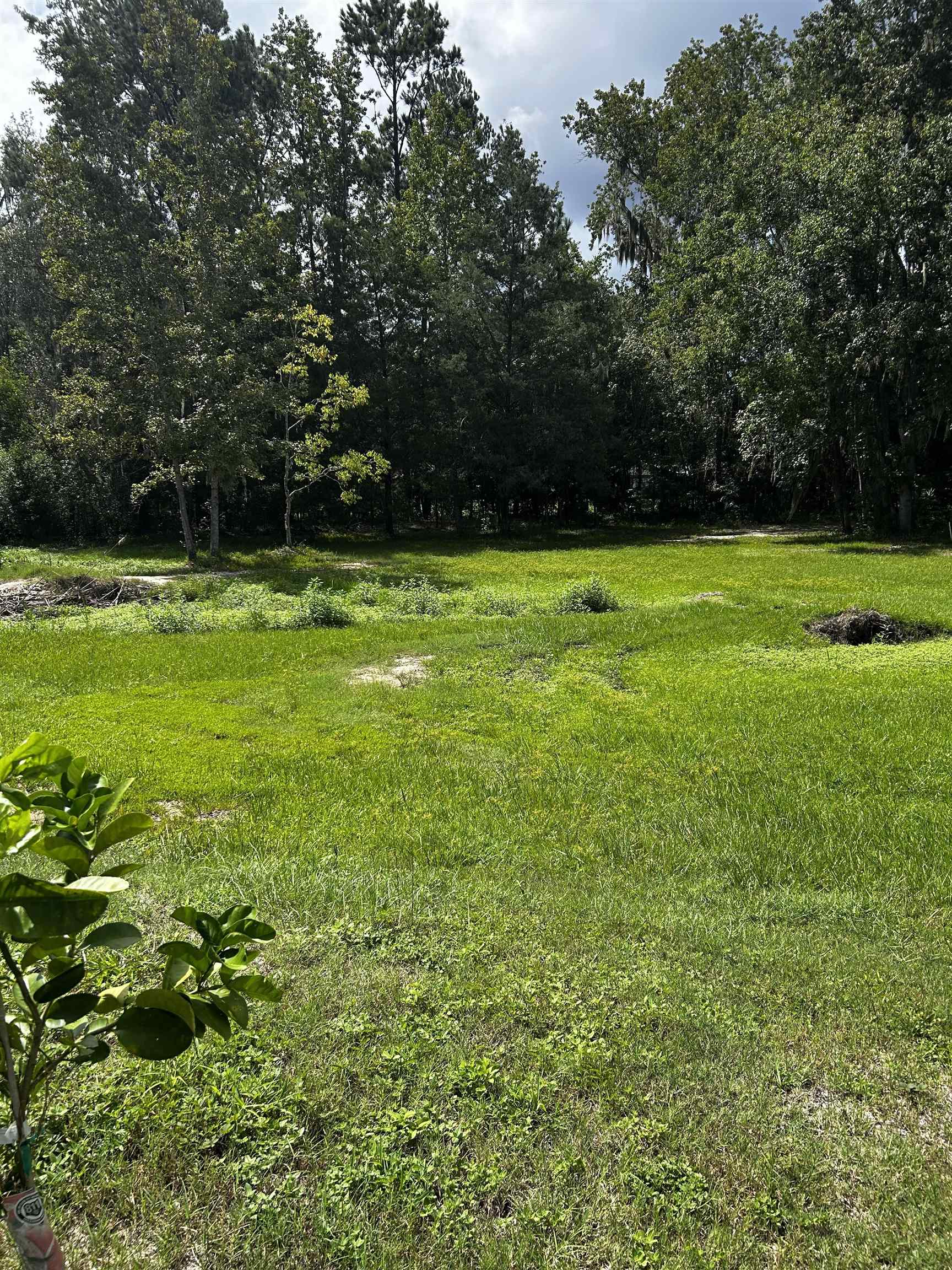 173 Dog Branch Road East Palatka, FL 32131 - Photo 11 of 15 a view of a yard