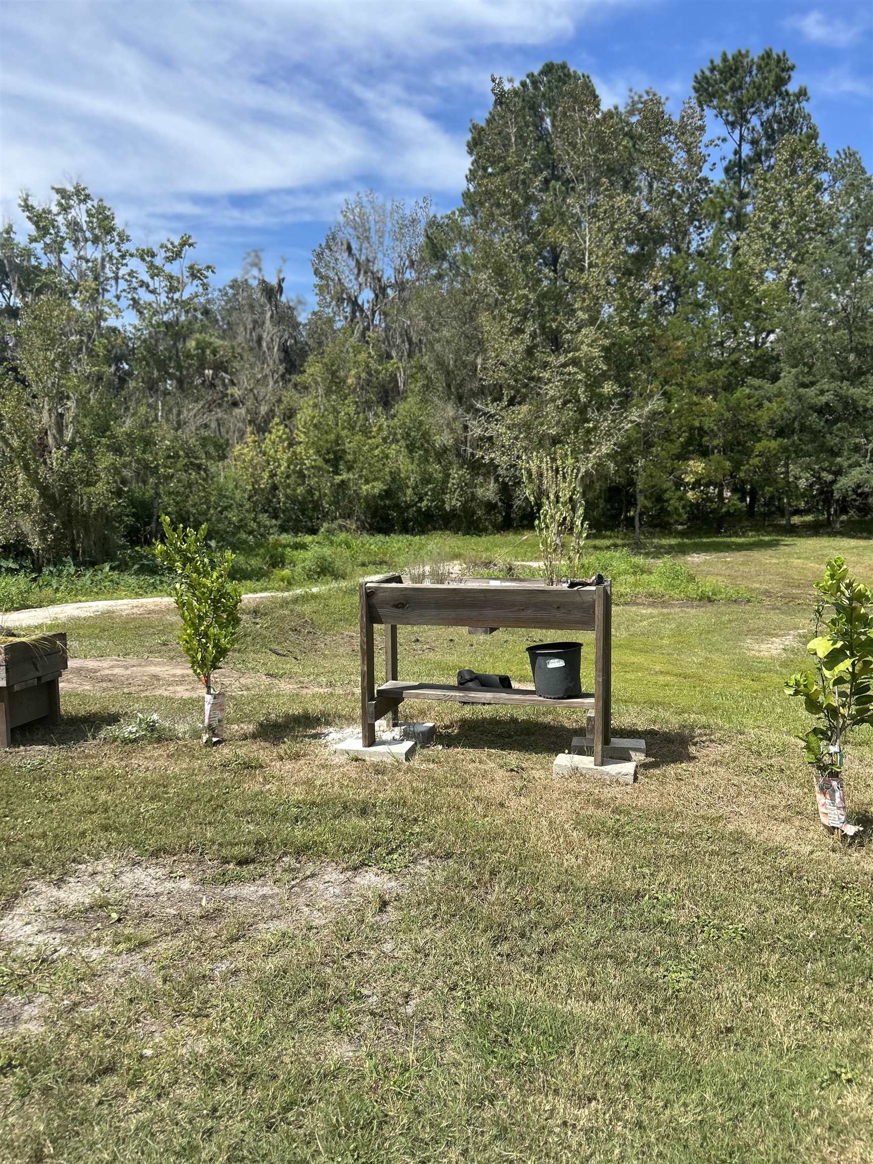 173 Dog Branch Road East Palatka, FL 32131 - Photo 12 of 15 a view of a bench in the garden