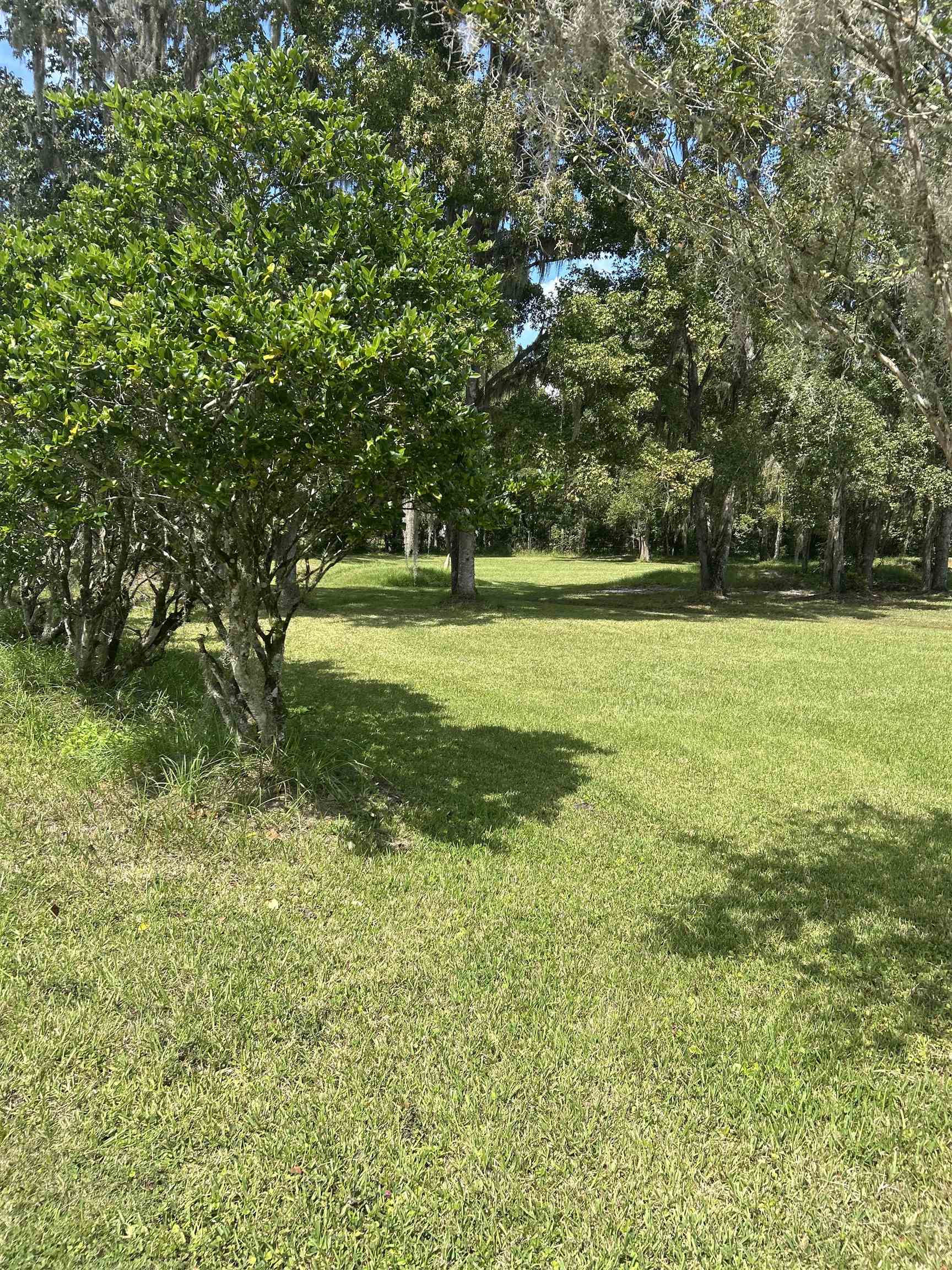 173 Dog Branch Road East Palatka, FL 32131 - Photo 13 of 15 View of green lawn