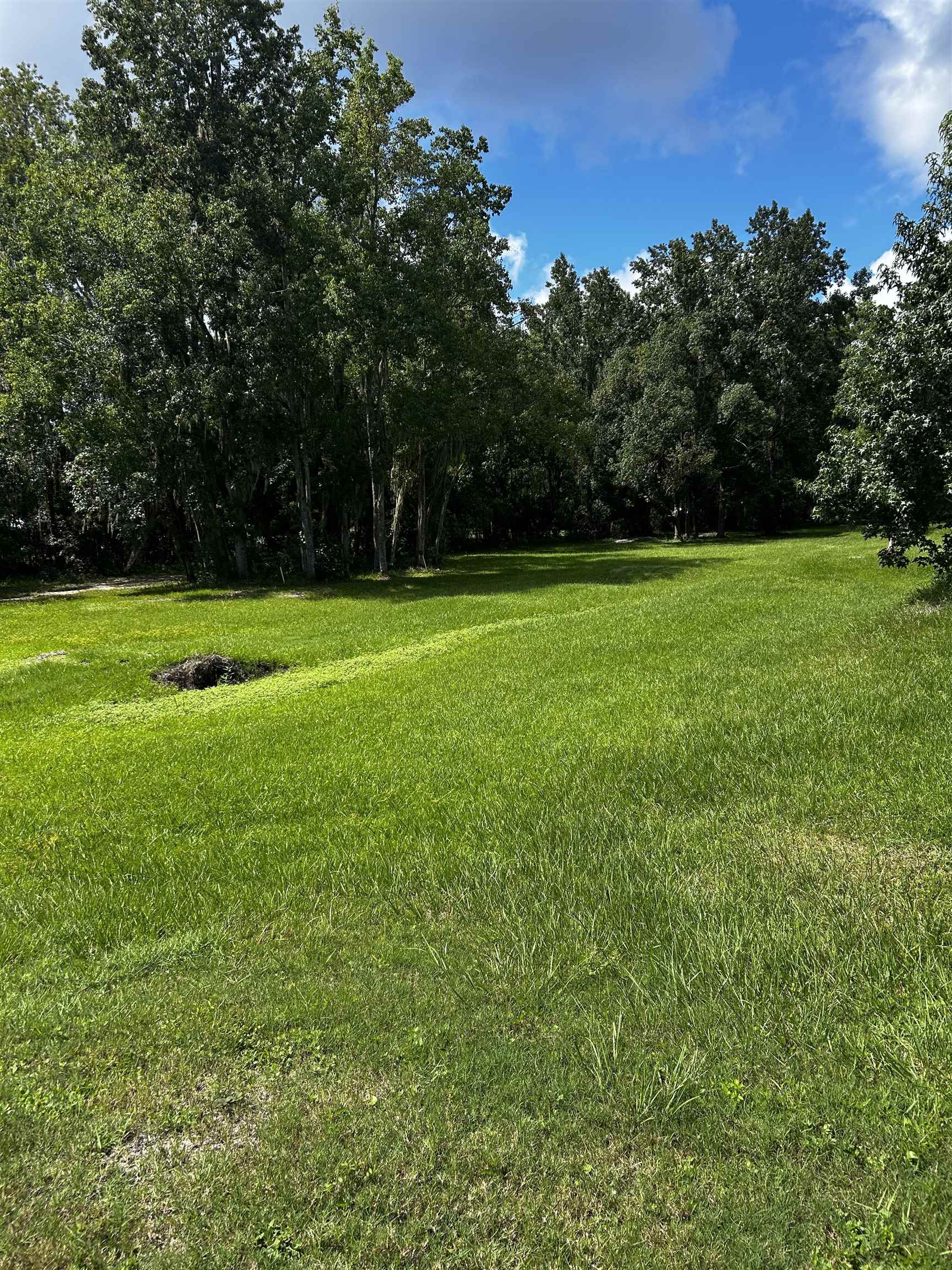 173 Dog Branch Road East Palatka, FL 32131 - Photo 14 of 15 a view of a field of grass and trees