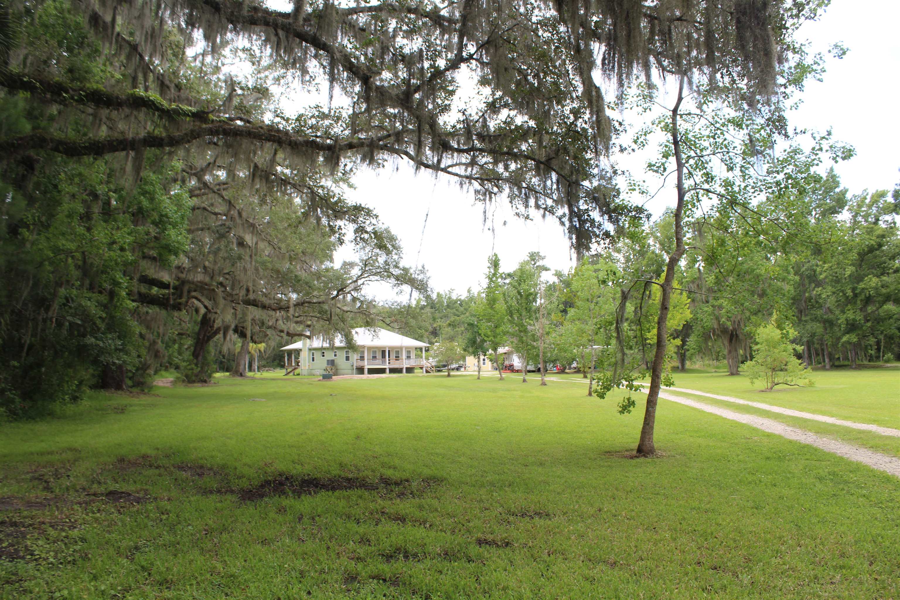 173 Dog Branch Road East Palatka, FL 32131 - Photo 15 of 15