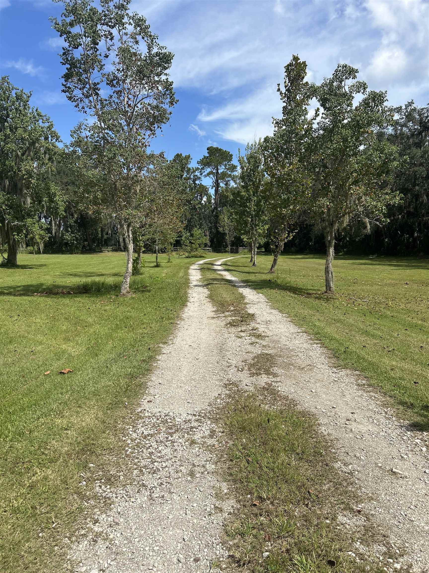 173 Dog Branch Road East Palatka, FL 32131 - Photo 4 of 15 a view of a park