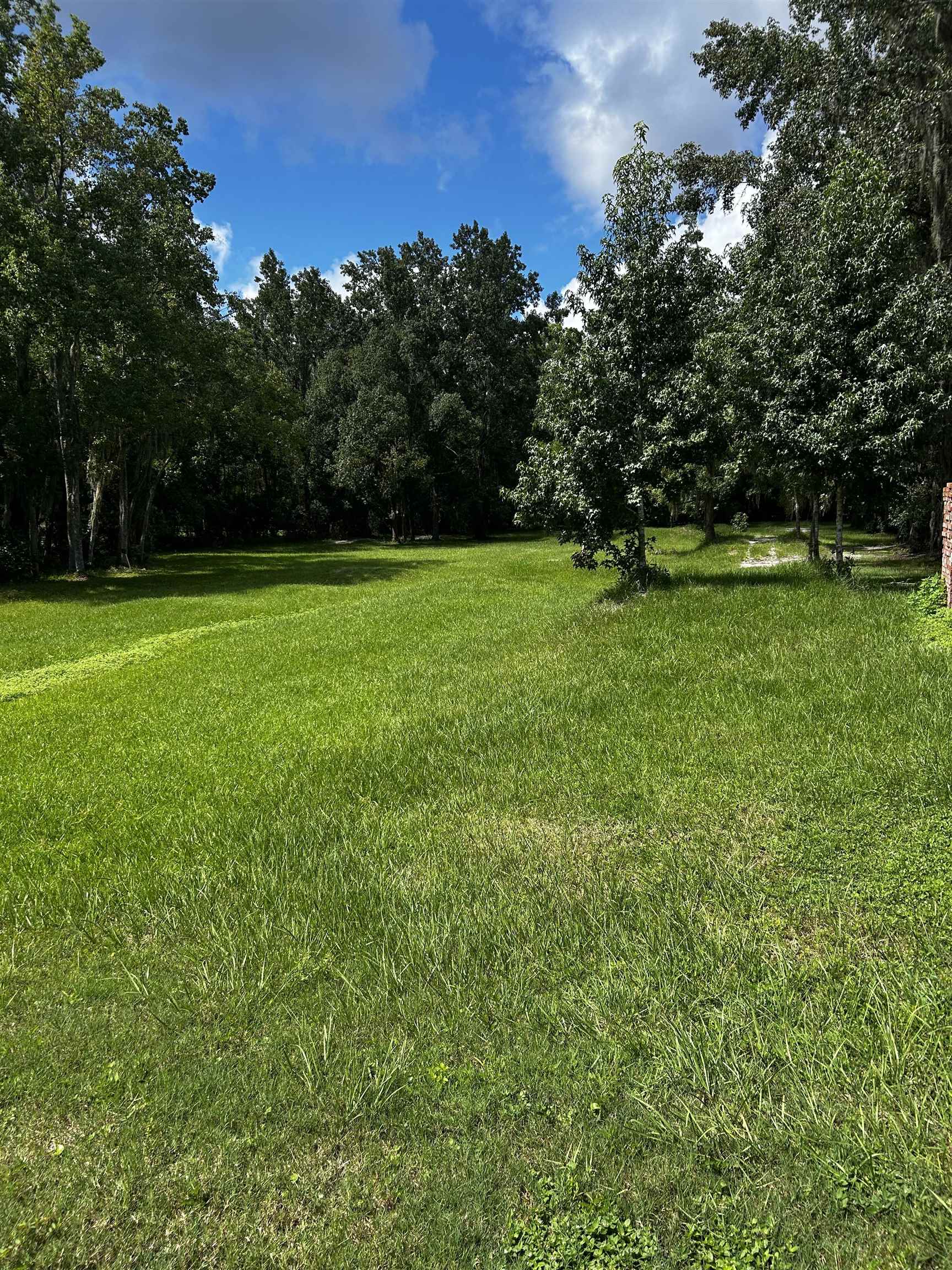 173 Dog Branch Road East Palatka, FL 32131 - Photo 10 of 15 a view of a field of grass and trees