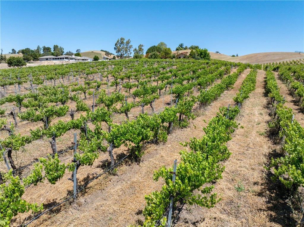 7568 Creston Road Paso Robles, CA 93446 - Photo 49 of 57