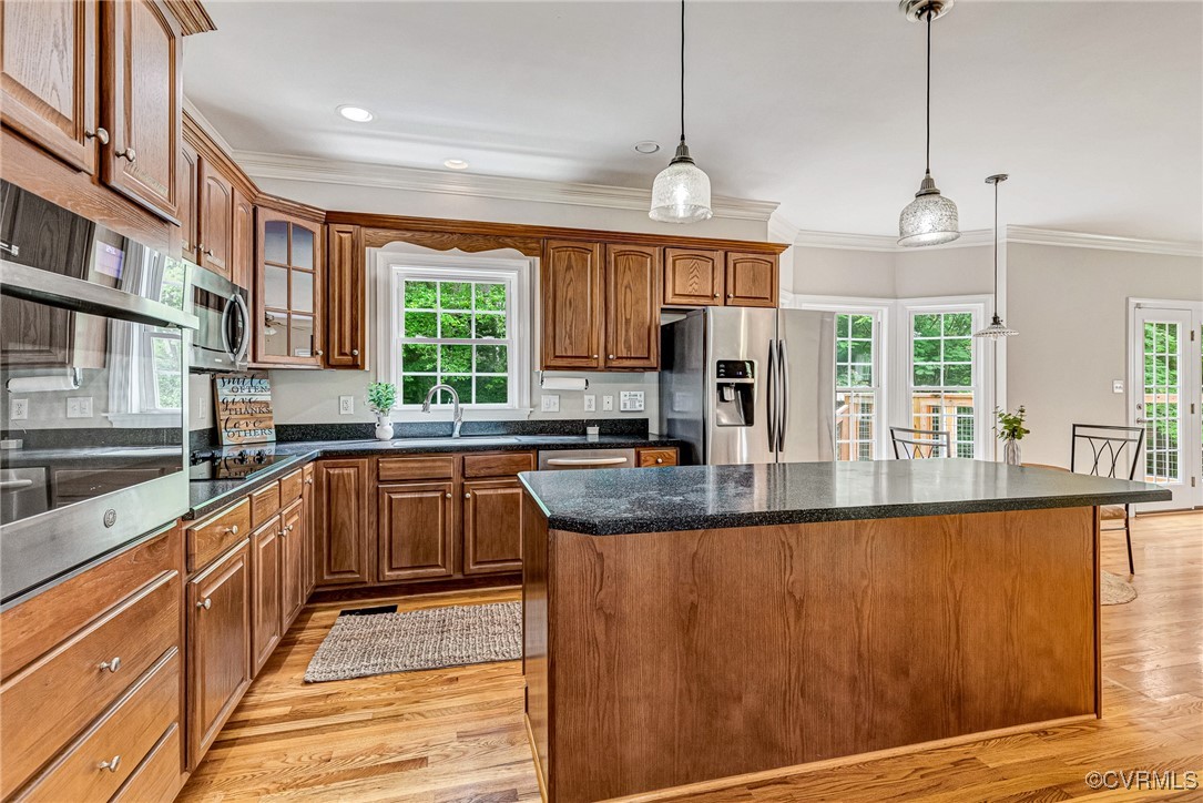 16494 Connie Hall Road Montpelier, VA 23192 - Photo 2 of 48 Gallery Image 2