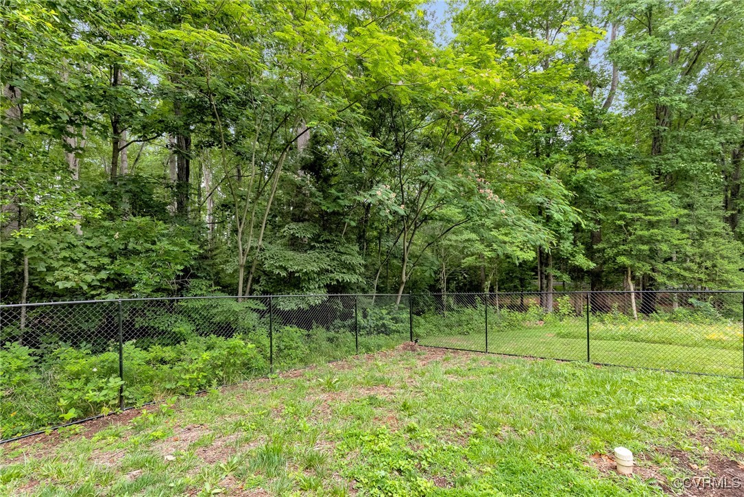 16494 Connie Hall Road Montpelier, VA 23192 - Photo 42 of 48 Gallery Image 42